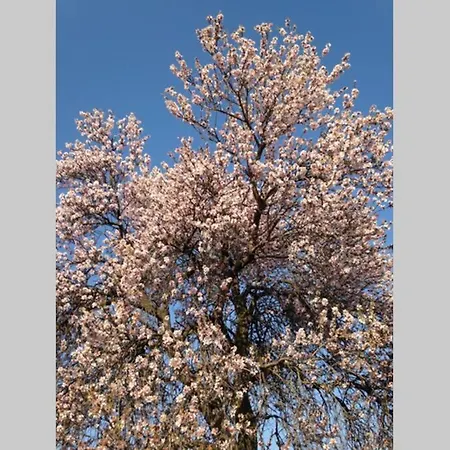 Il Mare In Un Bicchiere Apartamento Sciacca
