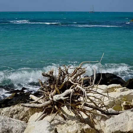 Il Mare In Un Bicchiere Апартаменты Шакка