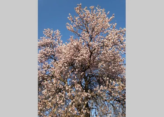 Il Mare In Un Bicchiere Lejlighed Sciacca